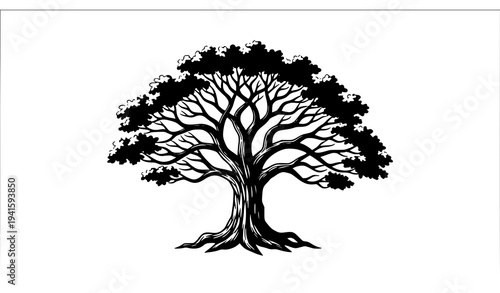 Stylized Oak Tree Silhouette with Spreading Branches Vector Isolated on White
