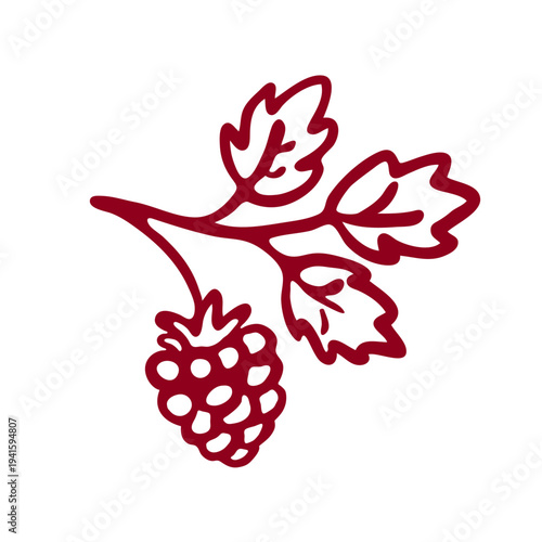 Hand drawn scribble raspberry twig isolated on white. Single branch with ripe berry and leaves, freehand illustration in doodle style or childish marker drawing. Vector clipart for naive design.
