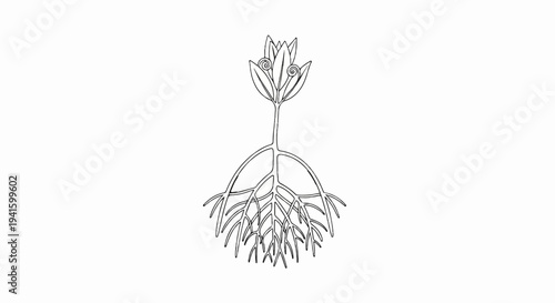 A stylized black and white illustration of a plant with prominent roots and a bud