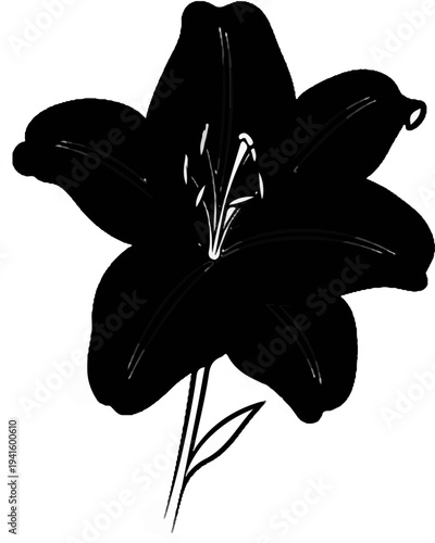 A stark, dark flower with prominent stamens and petals on a stem