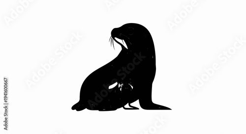 A mother seal protects her pup in a black and white silhouette