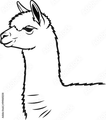 A simple black and white line drawing of an alpaca's head and neck