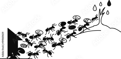 A line of ants carries food from a house and a plant to a nest