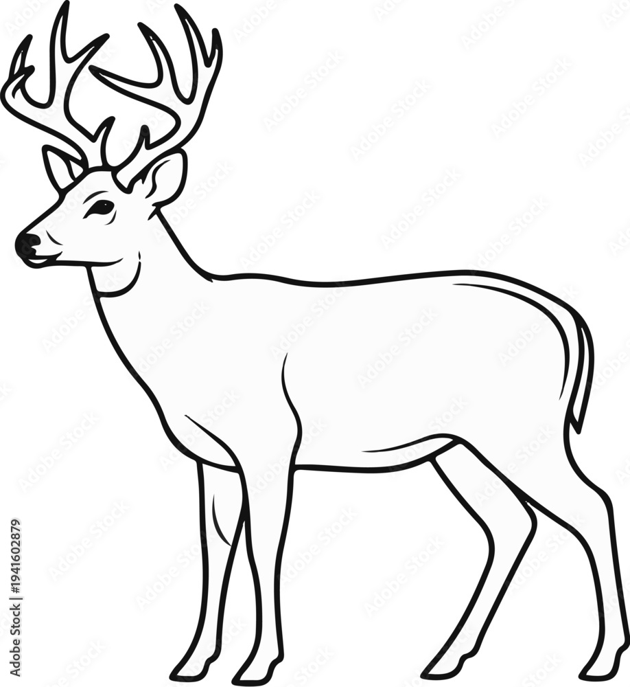 Fototapeta premium A detailed line drawing of a deer with large antlers, standing still