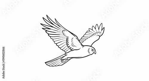 A detailed black and white sketch of a raptor in mid-flight