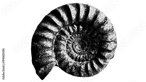 Quadro em tela Black and white ammonite fossil illustration isolated with clipping path