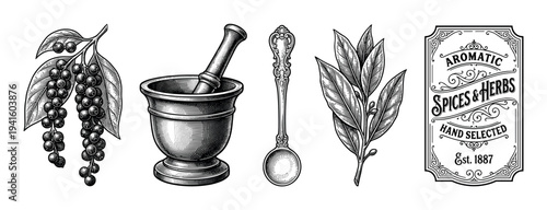 Vintage style black and white engraving illustrations of culinary spices and herbs like peppercorns and bay leaves with a mortar, pestle, spoon, and an old-fashioned label