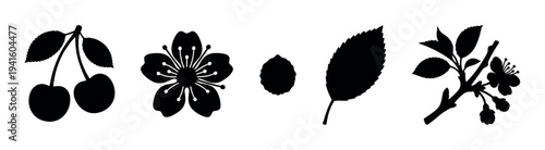 Diverse black cherry fruit, flower, leaf, and branch silhouettes are neatly arranged in a clean, graphic, and illustrative style, showcasing various botanical elements