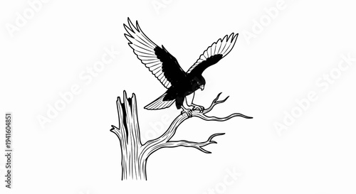 A bird with wings outstretched perches on a bare branch of a dead tree