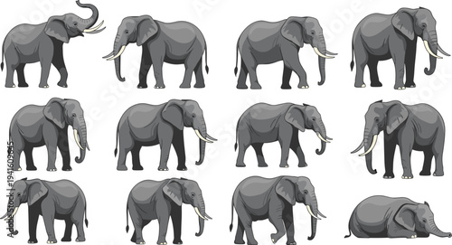 African Elephant Collection Vector Illustration Featuring Different Poses Walking Standing and Resting Wildlife Animal Set
