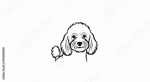 A black and white line drawing of a fluffy dog peeking over an unseen edge