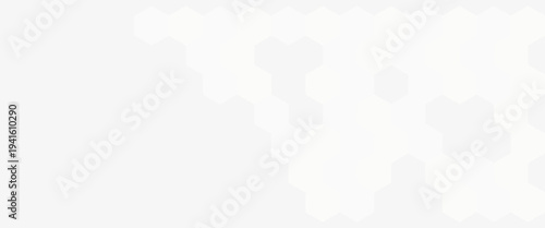 Abstract modern hexagon background. White and grey honey pattern geometric texture. Vector art illustration
