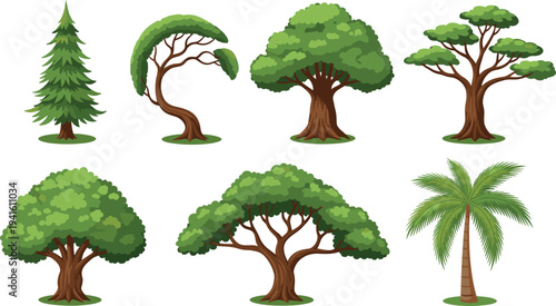 Vector set of different green tree types including pine palm oak and tropical trees with detailed trunks and foliage isolated on white background.