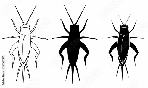 Cricket insect icon set.vector illustration in Outline and silhouette for entomology, pest or nature themes. true crickets