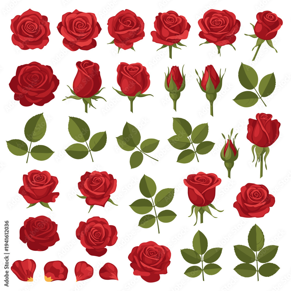 Naklejka premium Collection of Red Rose Flowers and Buds
