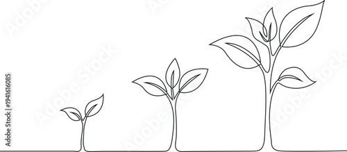 Line art illustration depicting the stages of plant growth and development