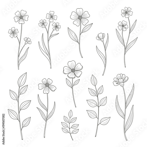 Collection of Wildflower and Herb Line Art