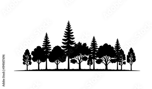 Natural Ash Tree Forest Silhouette Landscape Vector Illustration Isolated on White