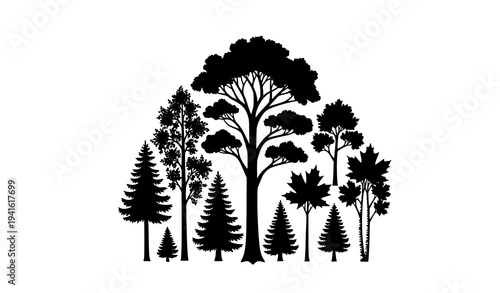 Ash Tree Silhouette Forest Badge Vector Natural Botanical Tree Illustration