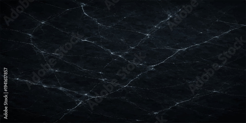 An intricate spider web spreads across a dark grunge wall to create a vintage textured pattern on this black and white marble inspired backdrop