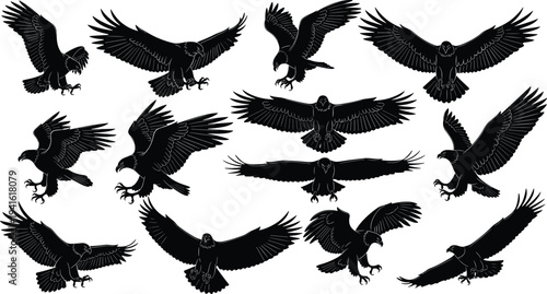 Collection of black eagle silhouettes featuring predatory birds in various flying and soaring poses for wildlife nature and heraldry designs,