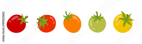 Tomato set with whole red, green, yellow and orange cherry tomatoes. Fresh organic colorful vegetables on white background. Flat vector illustration.
