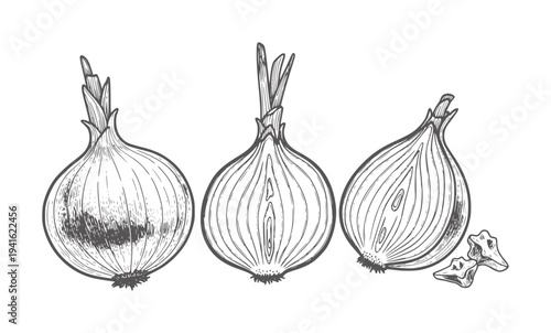 Black and white line of whole and peeled onions with cloves bulb