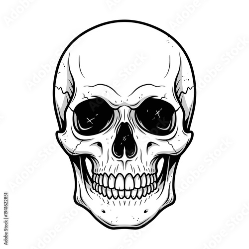Detailed Frontal Human Skull Bone Structure