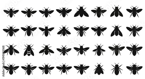 Collection of various insect silhouettes displayed in a grid pattern against a plain background from a direct viewpoint