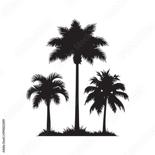 Set of 3 palm tree silhouettes vector