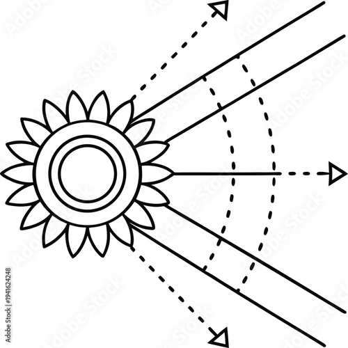 sunflower tracking sun heliotropism line art vector illustration on transparent background