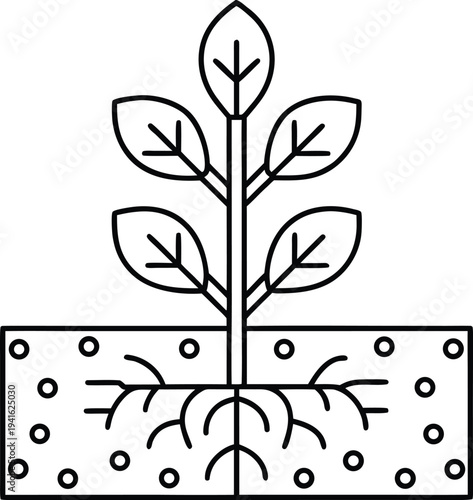 plant root avoiding toxin decision making line art vector illustration on transparent background