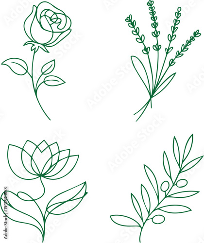 Minimalist One Line Botanical Art Set: Rose, Lavender, Lotus, and Olive Branch Illustrations