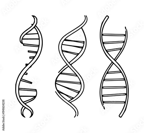 DNA double helix set with sleek modern lines on white background featuring vector, geometric, icon with biotechnology and illustration