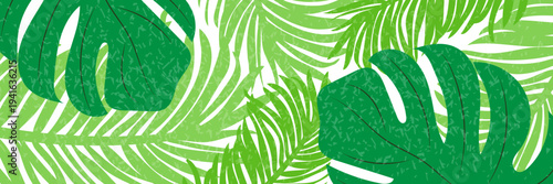 Background of summer tropical jungle. A vibrant botanical paradise filled with exotic monstera plants and palm leaves. A fun summer illustration for use on posters, covers, banners, and printed materi