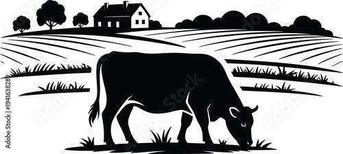 Cow grazing in field with farmhouse and trees rural agriculture landscape cattle farm pasture