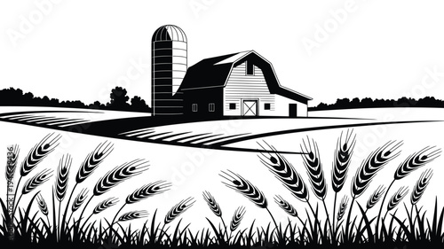 Farm barn and silo on wheat field, agriculture landscape vector. harvest country ranch