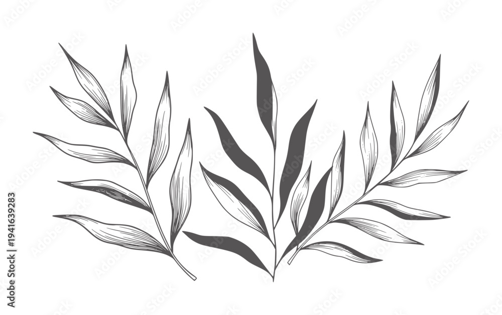 Obraz premium Delicate dark grey leaves white botanical leaf plant foliage