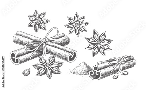 Hand drawn cinnamon sticks and star anise spice assortment food