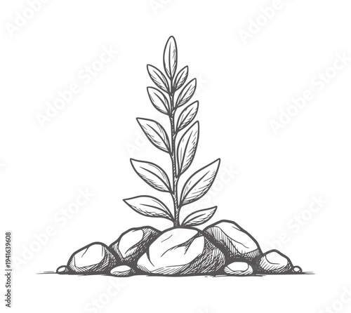 Hand drawn seedling growing from rocks plant growth stone