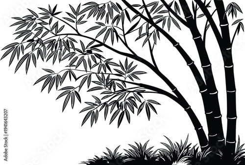 Bamboo Grove Natural Forest Scene. Bamboo Grove Asian Nature Landscape. Bamboo Grove Green Forest Path. Bamboo Grove Peaceful Nature Scene. Bamboo Grove Tropical Forest View. Bamboo Grove Serene