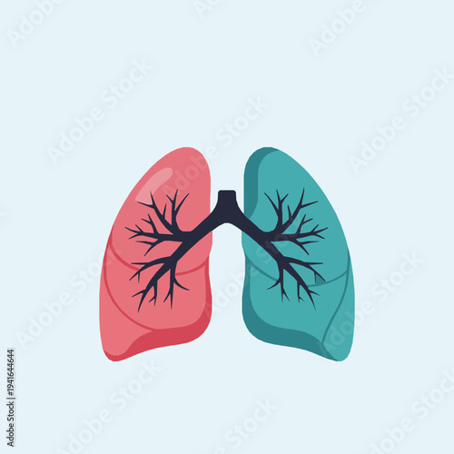Human lungs anatomy illustration with respiratory system bronchial structure medical education healthcare concept modern flat style vector background