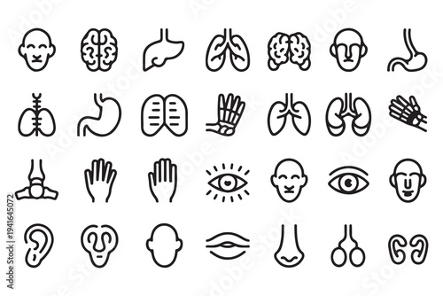 Set of human organ icons representing anatomy and healthcare systems in a simple line art style