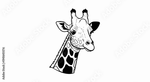 Close-up ink sketch of a giraffe's head and neck winking