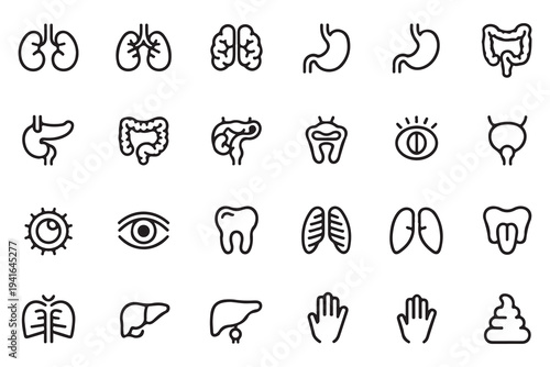 Human organs outline icons set healthy internal body parts symbols collection for medical applications