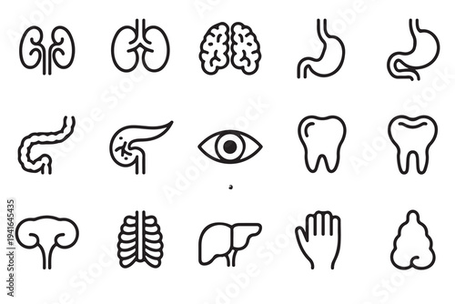 Human organs outline icons set healthy internal body parts symbols collection for medical purposes