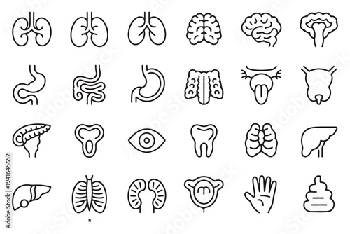 Collection of medical and health related icons showcasing body parts and healthcare symbols