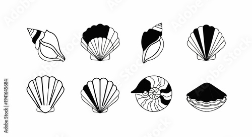 Collection of stylized black and white drawings of various seashells