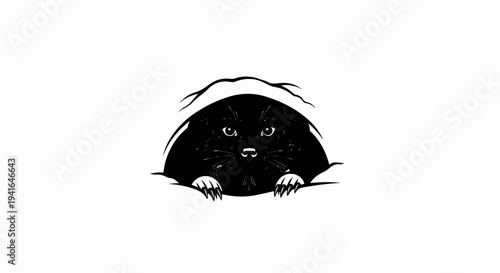 Cute black cat peeking out of a dark burrow with sharp claws