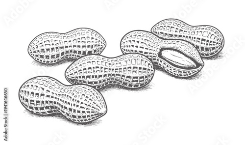 Five peanuts one split open in a line legume food